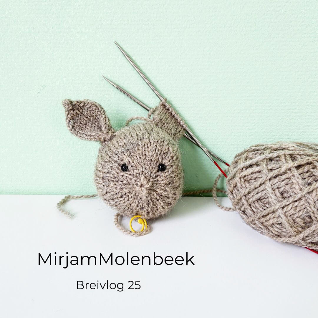 MirjamMolenbeekBreivlog25