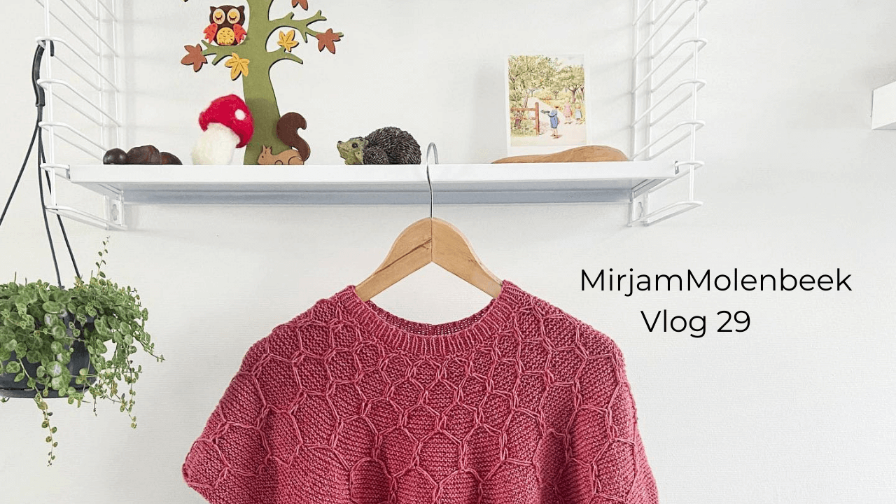 MirjamMolenbeekBreivlog29